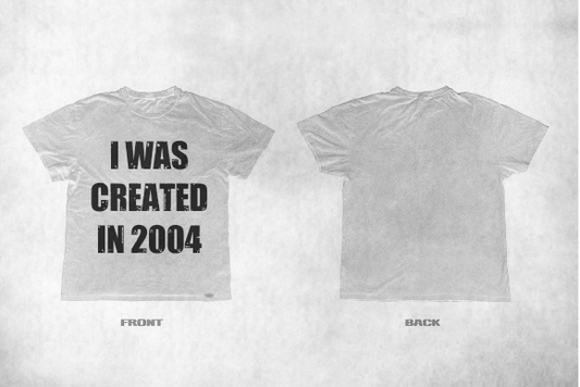 Created In 2004 T- Shirt